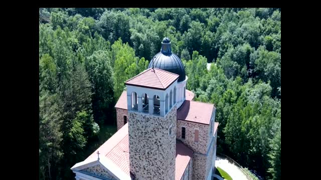 Cardinal Burke Video of the Appeal Letter Three 2023