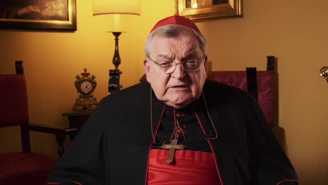 Cardinal Burke Urges You to Pray for the Sacred College of Cardinals
