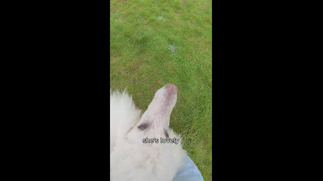 Snaptik.app_7429097033442676000