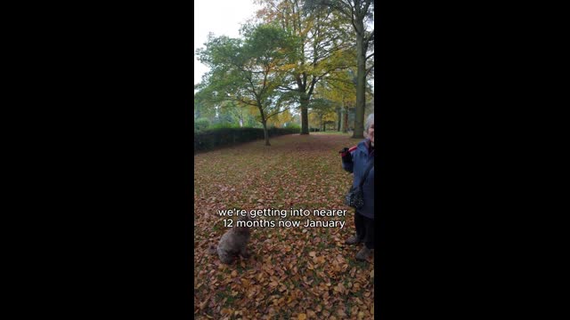 Snaptik.app_7438558239576395041