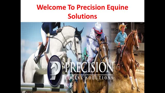 Precision Equine Solutions : Daily Joint Maintenance For Horses