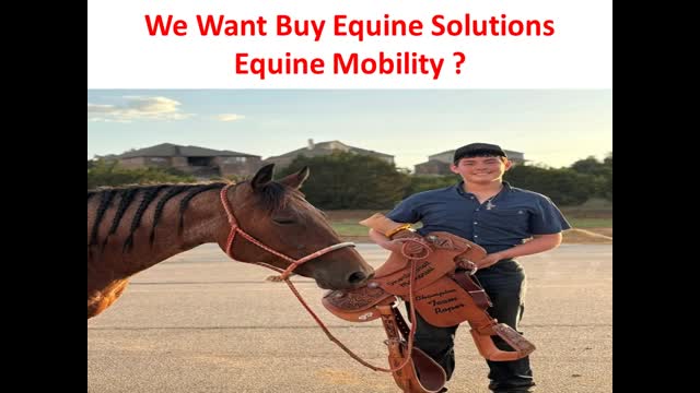 Precision Equine Solutions : Glucosamine For Horses