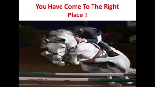 Precision Equine Solutions : Glucosamine For Horses