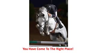 Precision Equine Solutions - Best Horse Arthritis Treatment Supplement