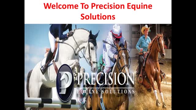 Precision Equine Solutions _ Glucosamine For Horses