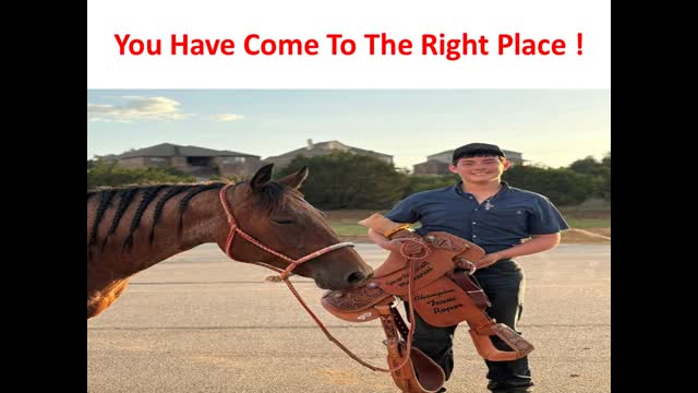 Precision Equine Solutions : Hyaluronic Acid Horse Supplement