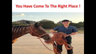Precision Equine Solutions : Hyaluronic Acid Horse Supplement