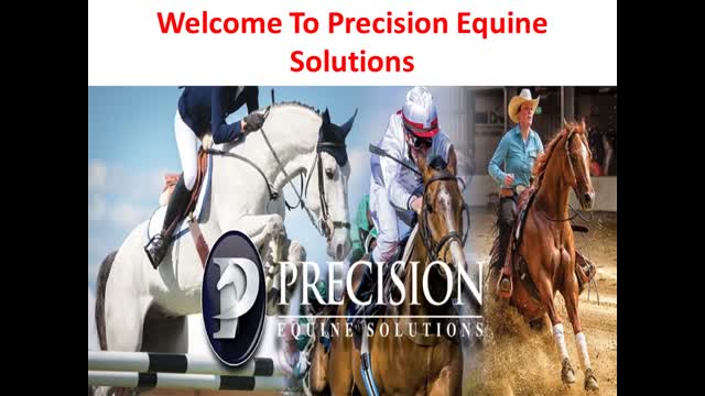 Precision Equine Solutions : Chondroitin Sulfate For Horses