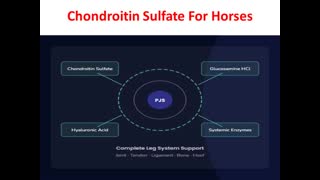 Precision Equine Solutions : Chondroitin Sulfate For Horses
