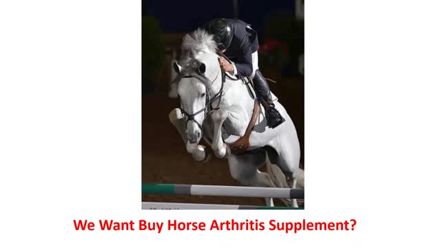 Precision Equine Solutions - Horse Arthritis Supplement