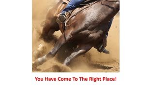 Precision Equine Solutions - Horse Arthritis Supplement