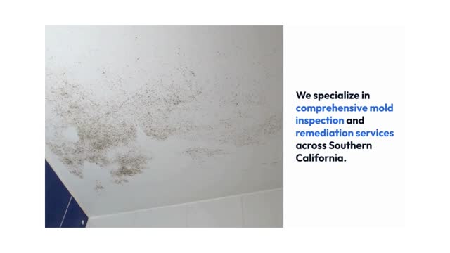 Mold Testing in South of California