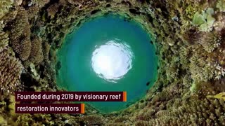 Coral Vita Pioneering Reef Restoration