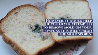 ASAP MOLD TESTING ENCINO