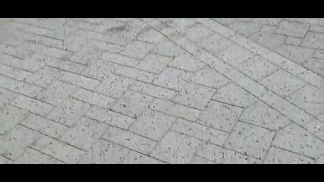 Market Under the Stars at the Regina Farmers' Market 2022Saskachewan Canada