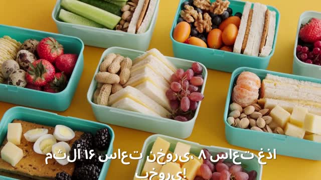 رژیم فستینگ چیست؛ راهنمای کاهش وزن سریع با روزه‌داری متناوب