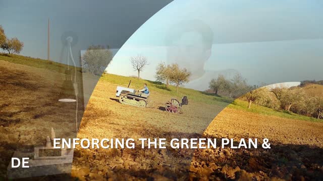 Haudenosaunee Development Institute