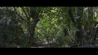 Kolaiseval (2026) Kalaiyarasan, Deepa Balu, and Bala Saravanan
