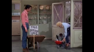 Beverly Hillbillies - 4x31 - Granny Tonics A Bird Watcher