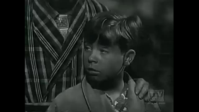 My Three Sons - 3x26 - High On The Hog