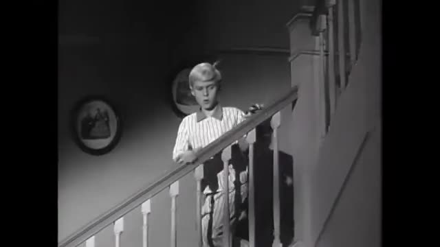 Dennis The Menace - 2x15 - Dennis, The Campaign Manager