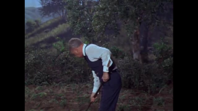 Green Acres - 1x29 - Horse What Horse