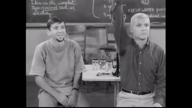 Dobie Gillis - 1x23 - The Chicken From Outer Space