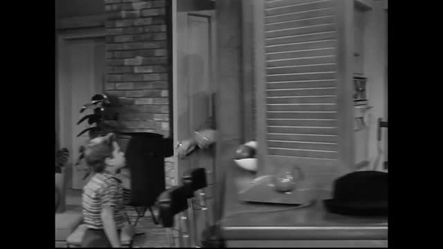 The Dick Van Dyke Show - 1x22 - Father Of The Week