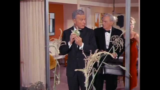Green Acres - 1x13 - The Wedding Anniversary