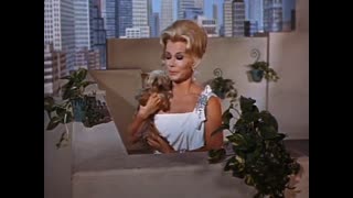 Green Acres - 2x12 - A Square Is Not Round