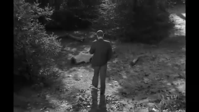 My Three Sons - 2x5 - A Perfect Memory