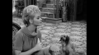 Petticoat Junction - 2x9 - Bedloe's Nightmare