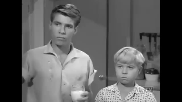 My Three Sons - 2x19 - Bub Gets A Job