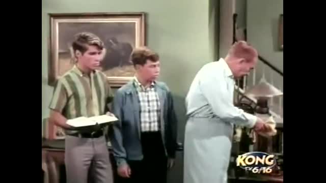 My Three Sons - 6x13 - Marriage And Stuff