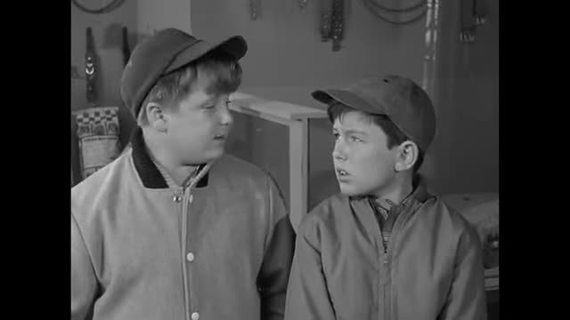 Leave It To Beaver - 3x16 - Pet Fair