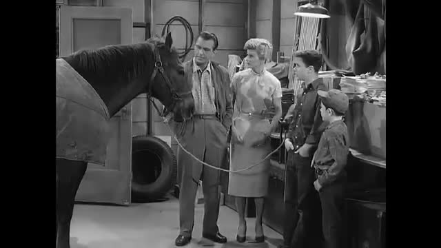 Leave It To Beaver - 2x27 - A Horse Named Nick