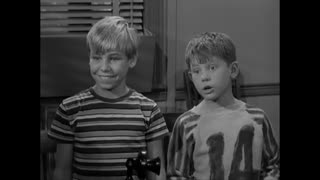Andy Griffith - 4x14 - Andy And Opie's Pal