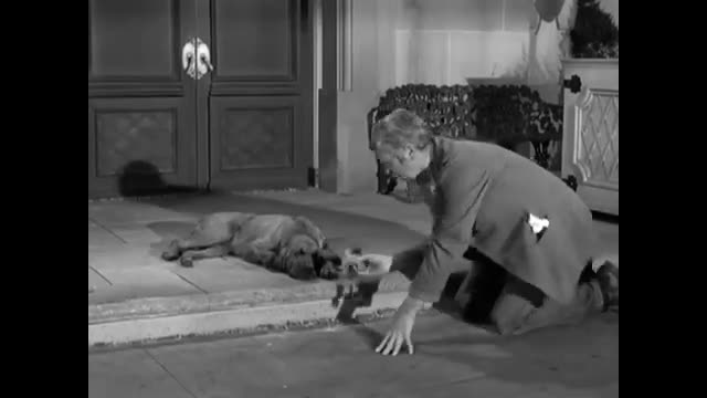 Beverly Hillbillies - 1x30 - Duke Becomes A Father