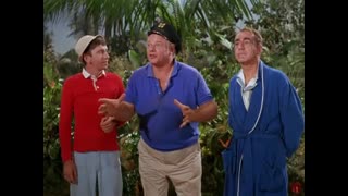 Gilligan's Island - 2x12 - Don't Bug The Mosquitos