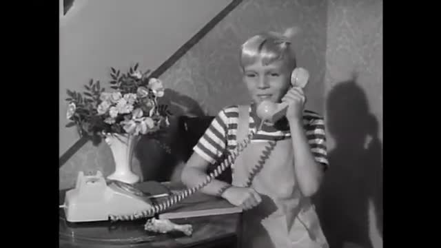 Dennis The Menace - 2x6 - Man Of The House