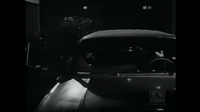 My Three Sons - 3x23 - Caged Fury