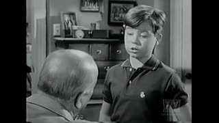 My Three Sons - 3x23 - Caged Fury