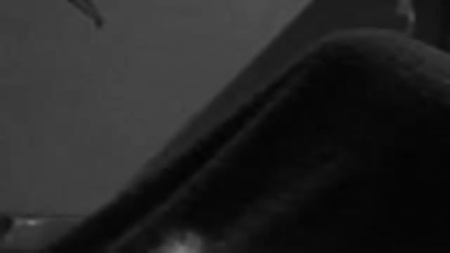 Leave It To Beaver - 2x18 - The Garage Painters