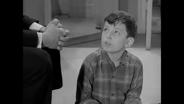 Leave It To Beaver - 2x35 - The Cookie Fund