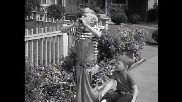 Dennis The Menace - 1x3 - The Fishing Trip