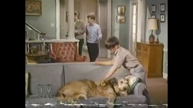 My Three Sons - 7x13 - Tramp Or Ernie