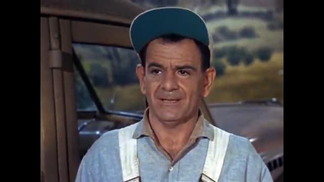 Green Acres - 2x5 - The Ugly Duckling