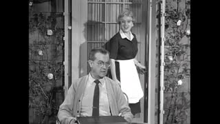 Dennis The Menace - 2x34 - Mr. Wilson's Paradise