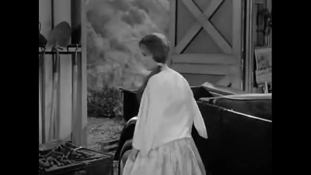 Petticoat Junction - 1x23 - Betty Jo's First Love