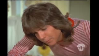 Partridge Family - 4x2 - None But The Onely